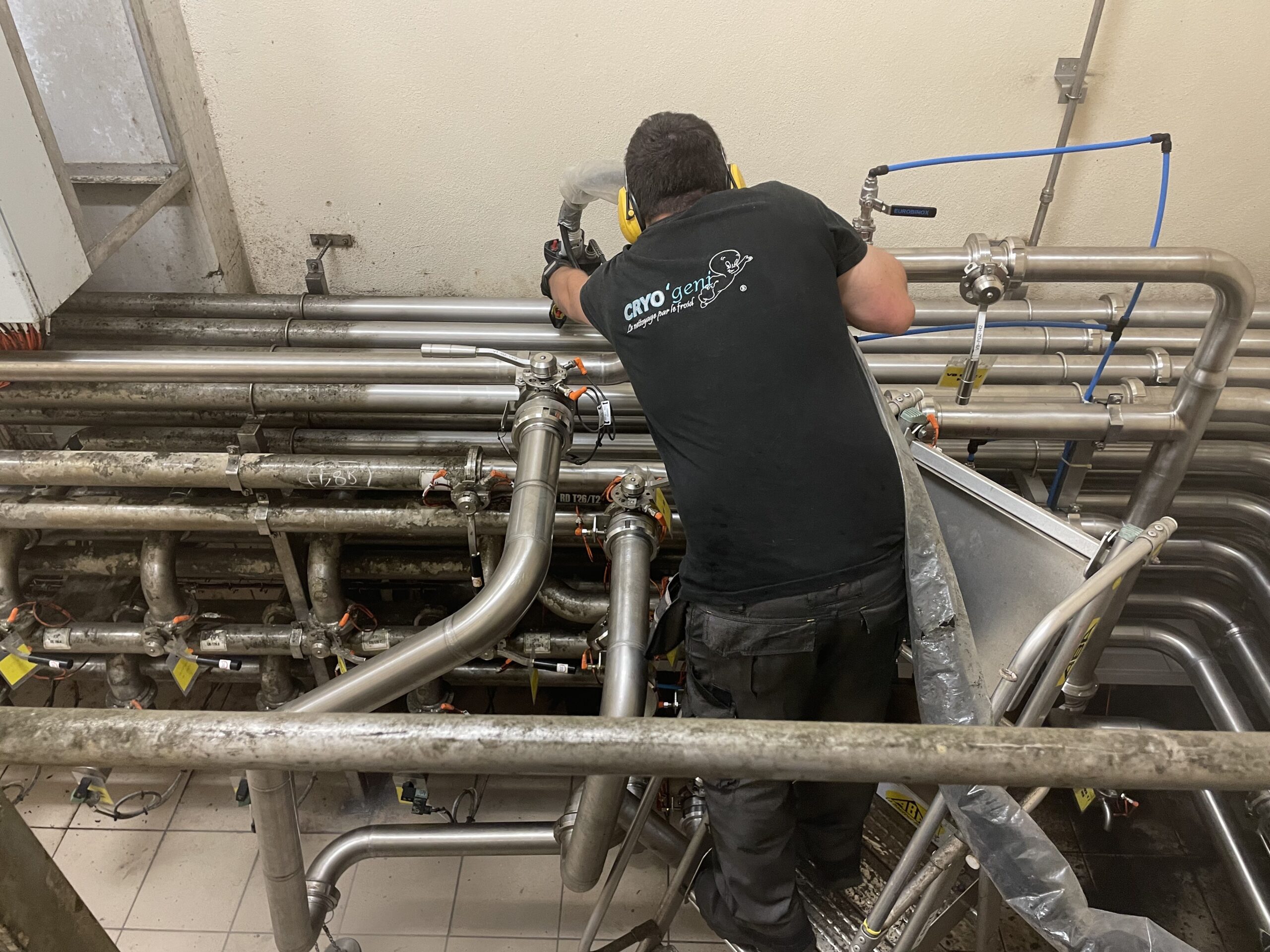 Élimination de la moisissure par cryogénie (procédé à sec)